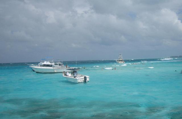 Grand Cayman--stingrays