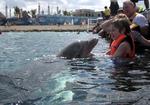 Brian--dolphin swim in Mexico