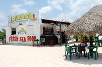 Alberto's Beach Bar Restaurant in Cozumel--GREAT FOOD!