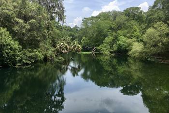 Hillsborough River State Park - Zephyrhills, FL