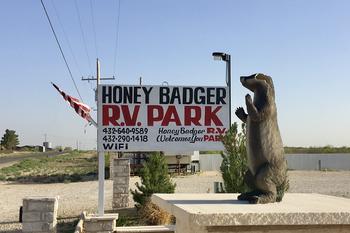 Honey Badger RV Park - Fort Stockton, TX